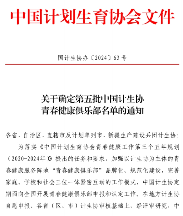 文件 文件